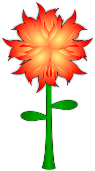 Vibrant Flame Flower Illustration PNG