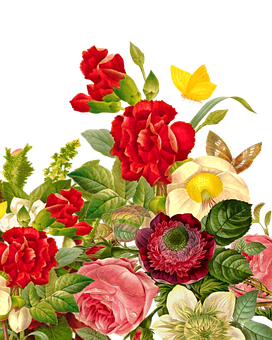 Vibrant_ Floral_ Arrangement PNG