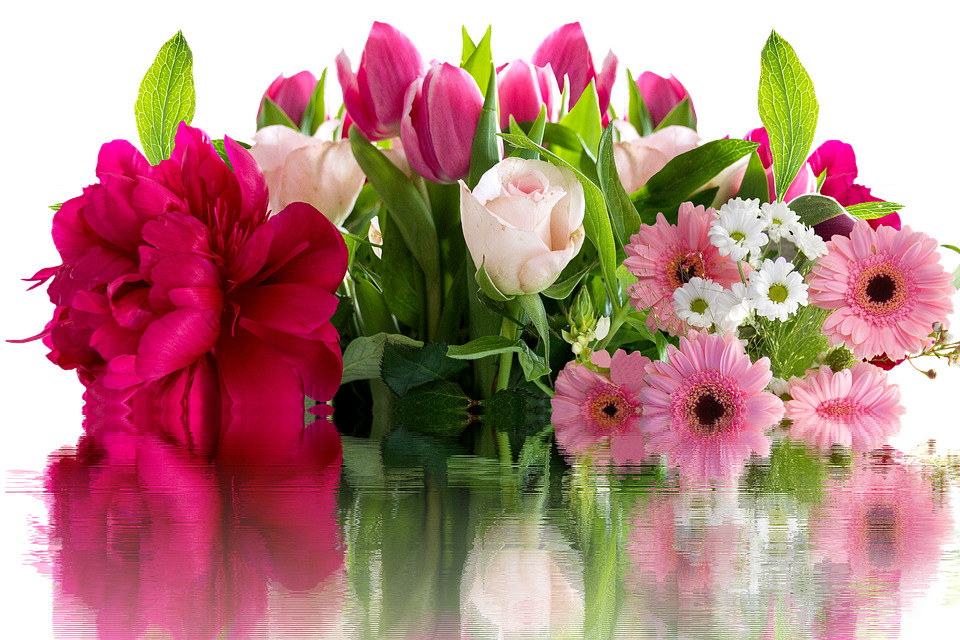 Vibrant_ Floral_ Assortment_ Reflections.jpg PNG