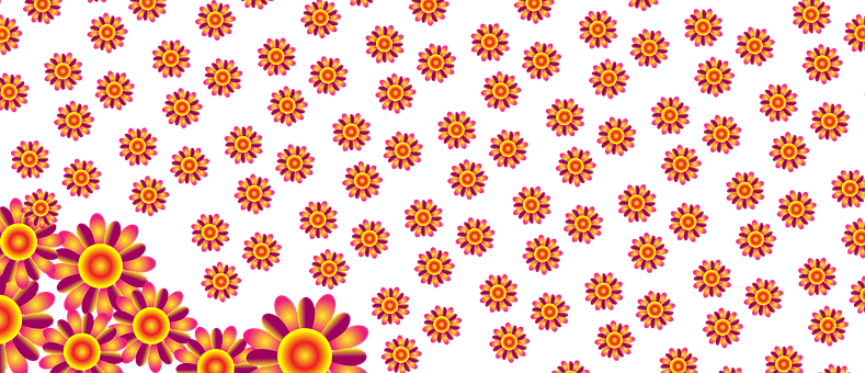 Vibrant Floral Pattern Banner PNG
