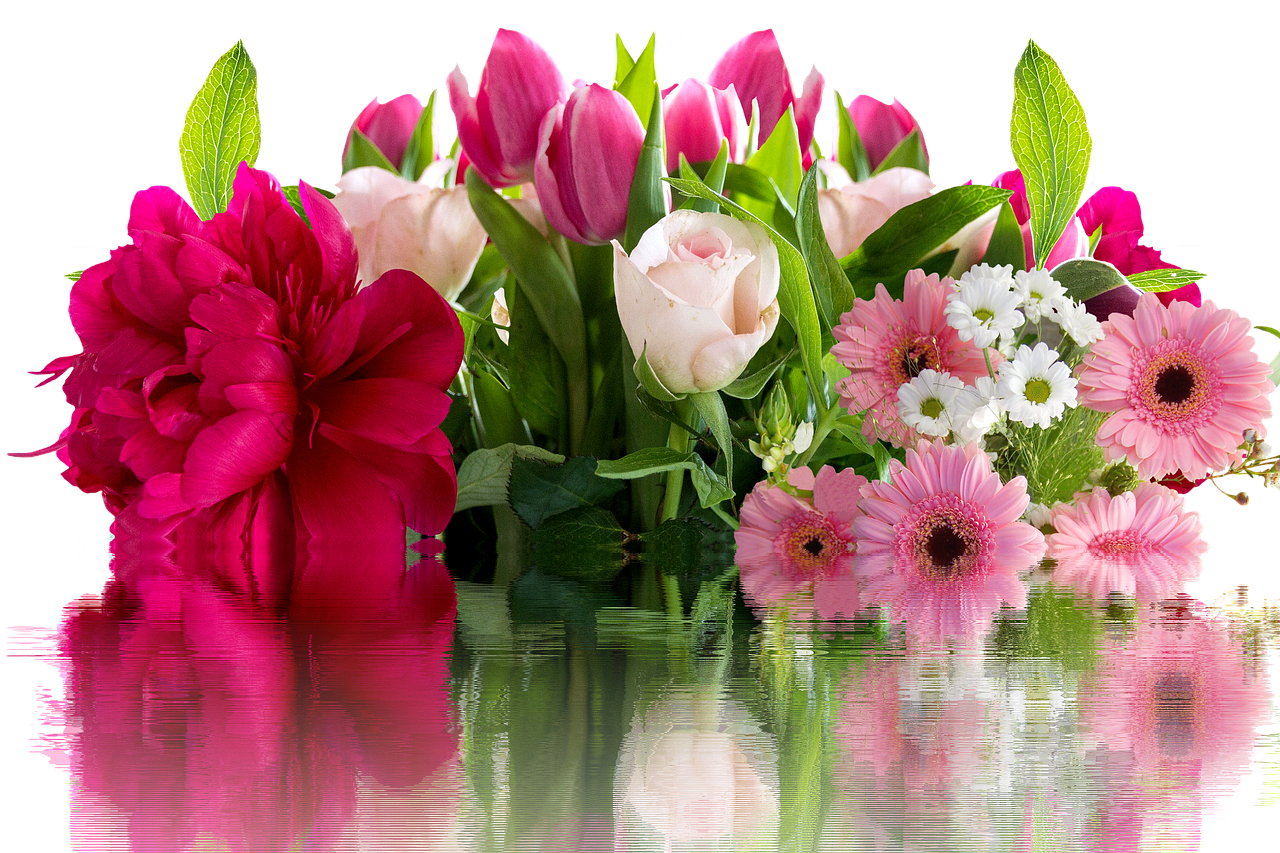 Vibrant Floral Reflections.jpg PNG