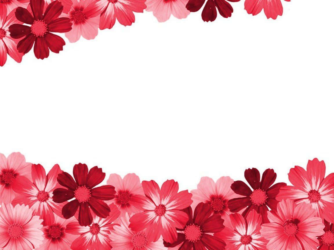 Vibrant Flourishing Flower Border Wallpaper