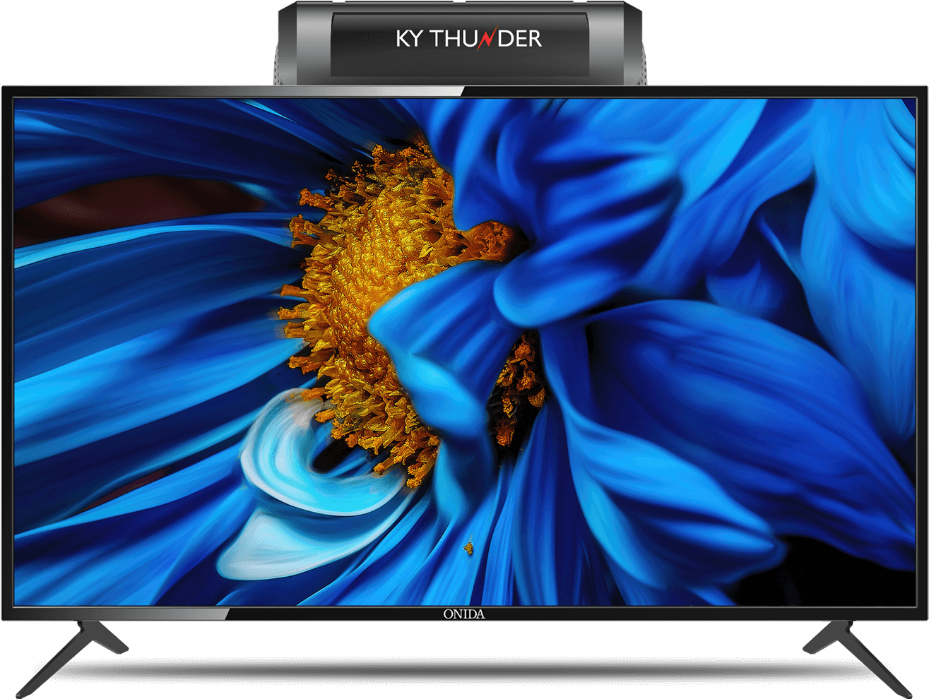 Vibrant Flower On T V Display PNG