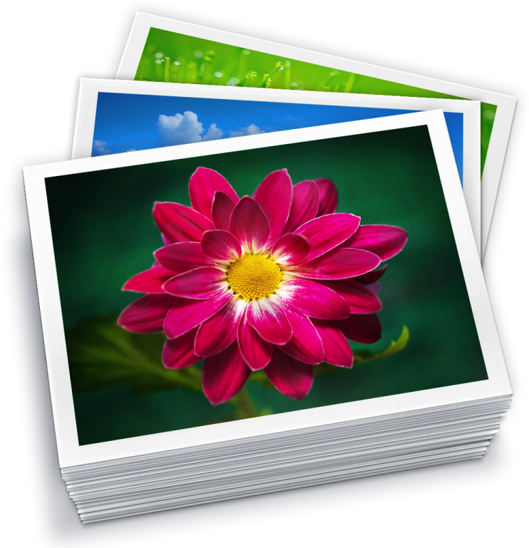 Vibrant Flower Photo Stack PNG
