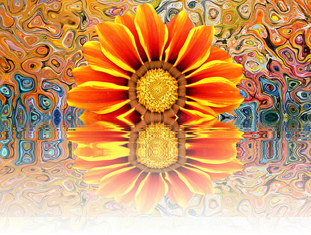 Vibrant Flower Reflection Artistic Background PNG