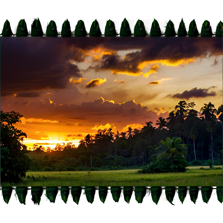 Vibrant Forest Sunset Png Odf99 PNG