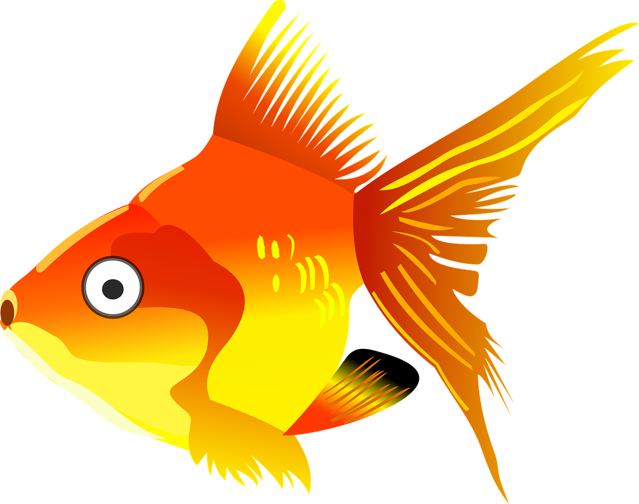 Vibrant Goldfish Illustration PNG