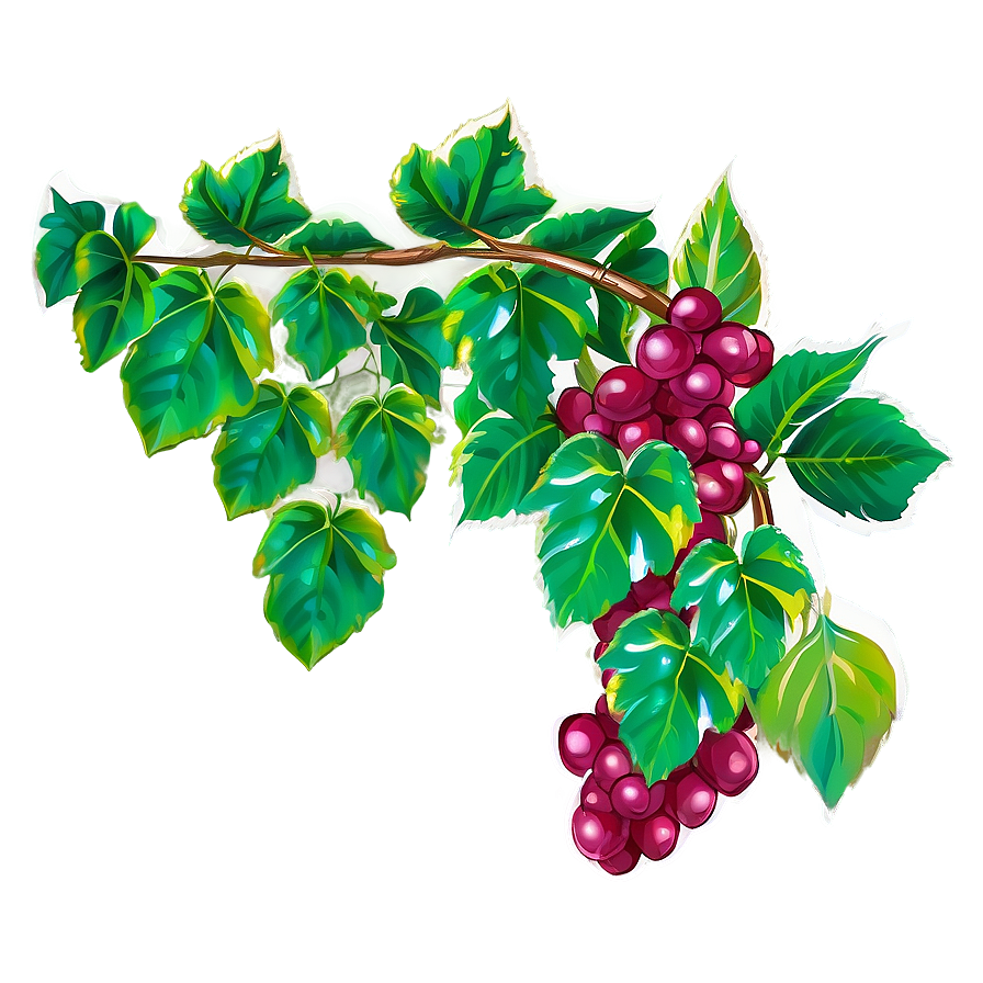 Vibrant Grapevine Illustration PNG