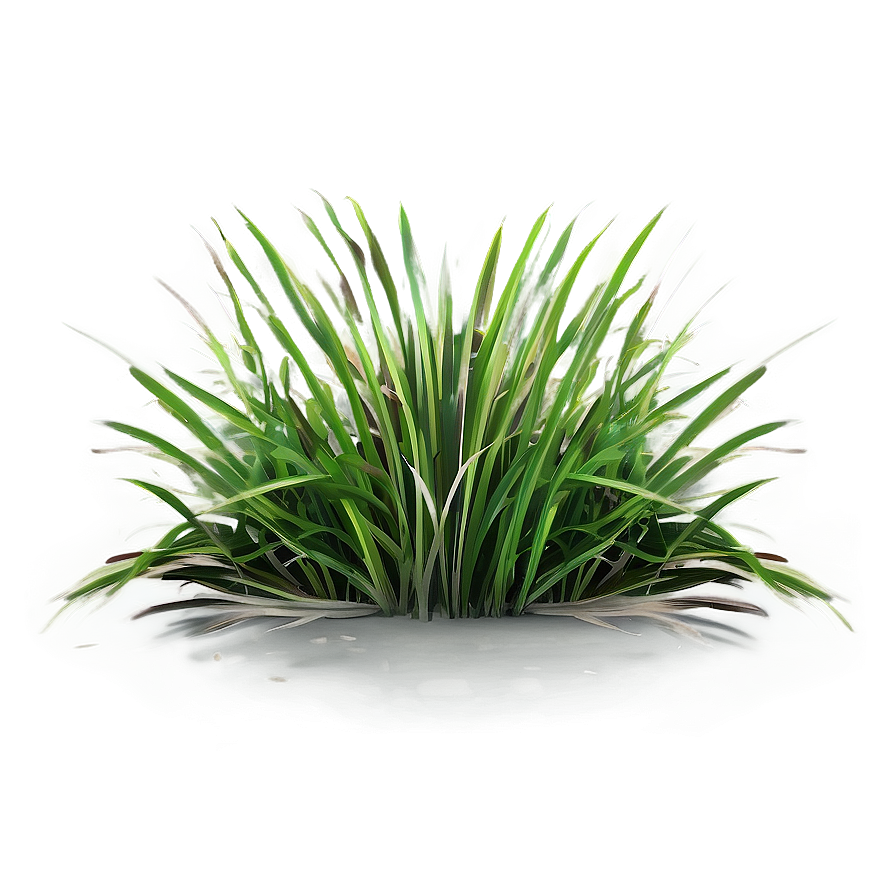 Vibrant Grass Clipart Png 06272024 PNG