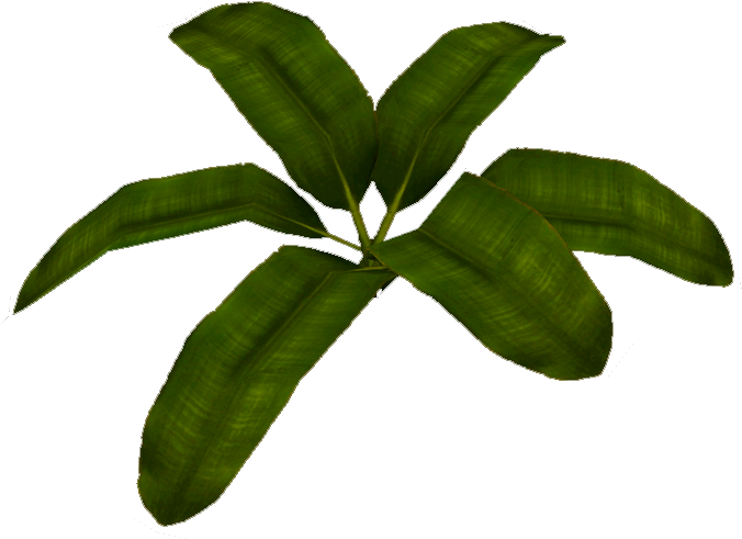 Vibrant Green Banana Leaves PNG