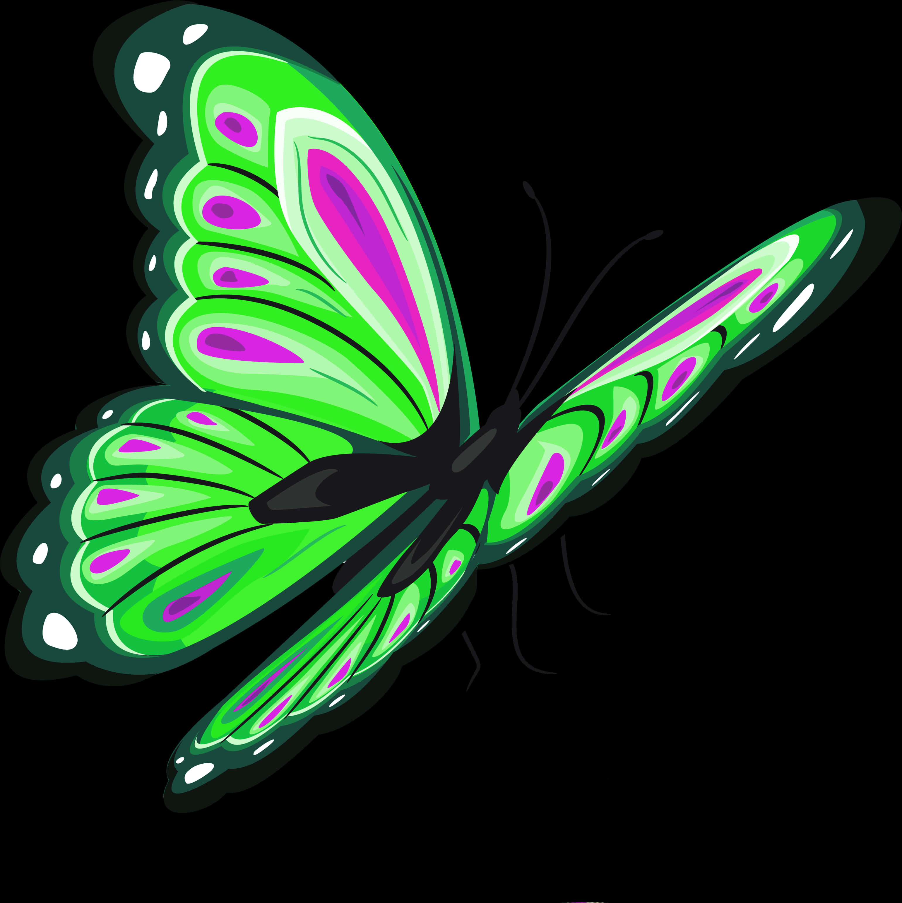 Vibrant Green Butterfly Illustration PNG
