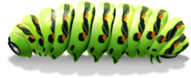 Vibrant Green Caterpillar Illustration PNG