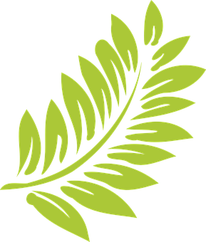 Vibrant Green Fern Leaf Graphic PNG