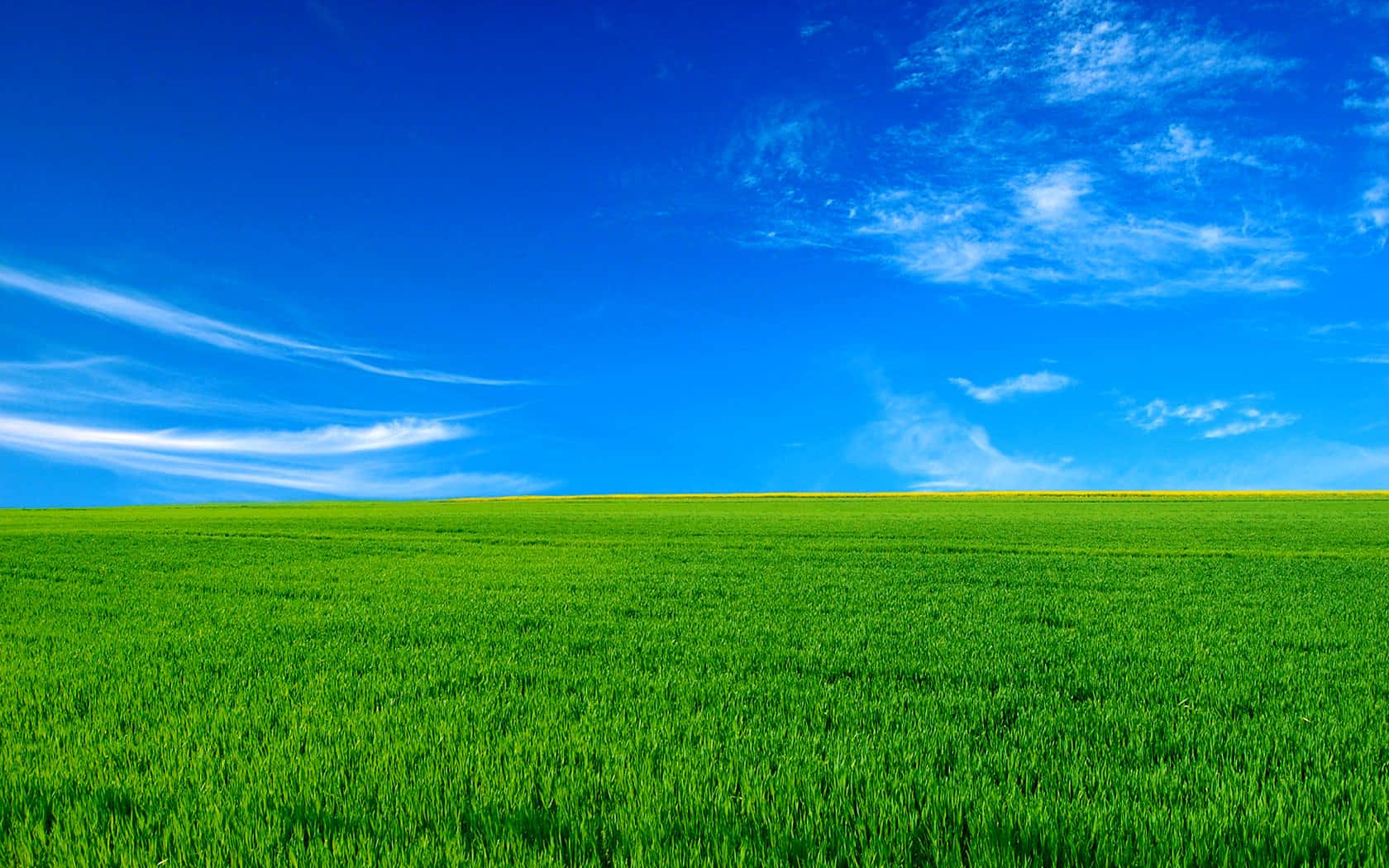 Vibrant_ Green_ Field_ Under_ Blue_ Sky Wallpaper