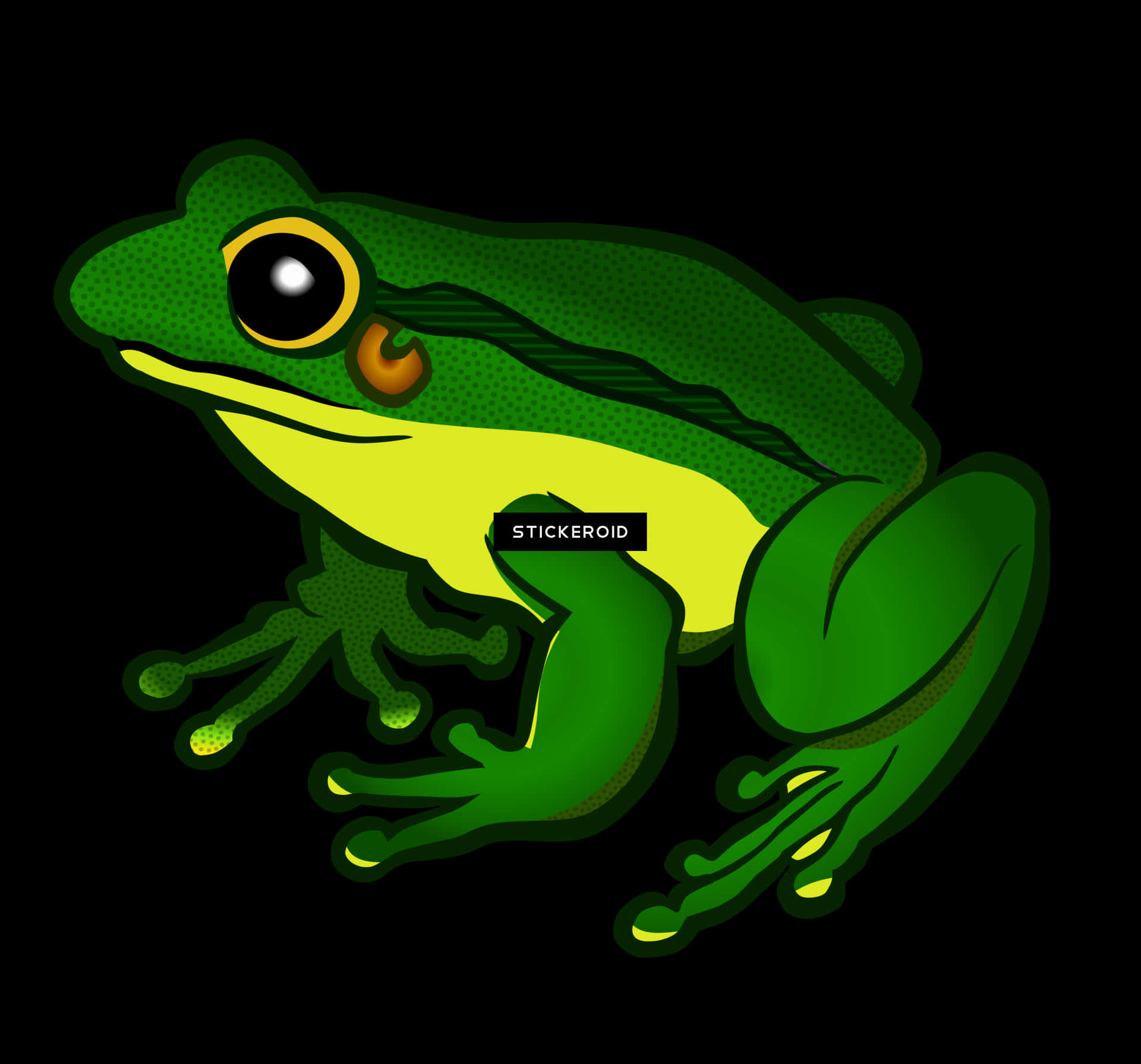 Vibrant Green Frog Illustration PNG