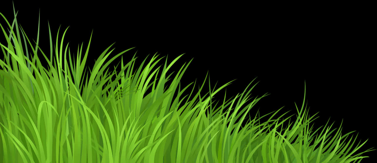 Vibrant Green Grass Background PNG