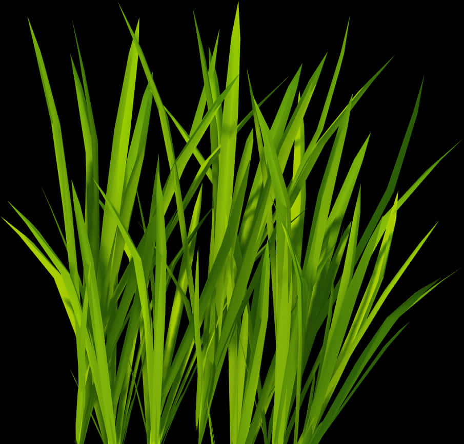 Vibrant Green Grass Black Background PNG