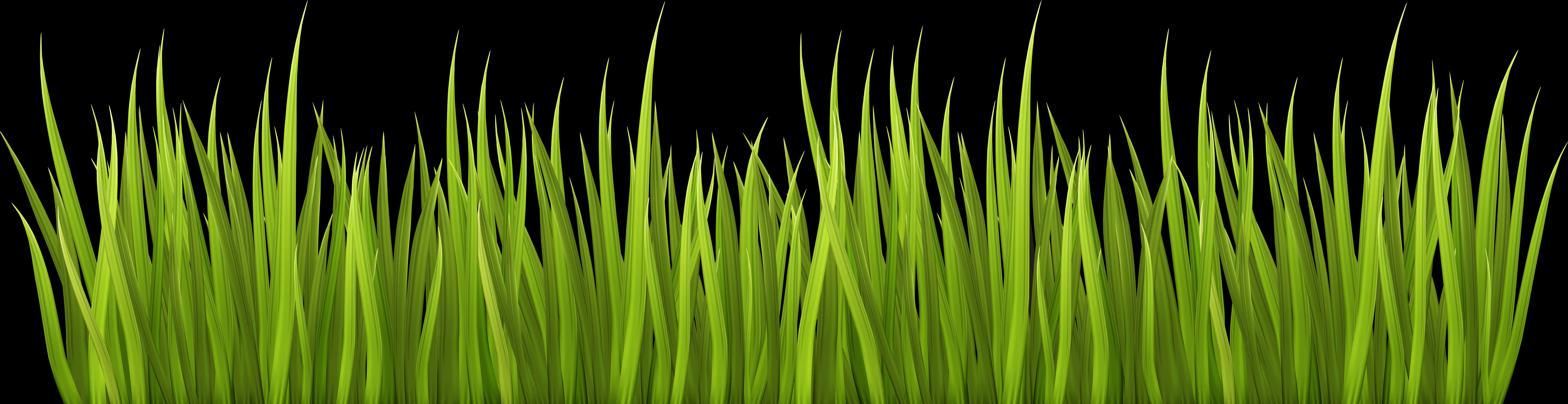 Vibrant Green Grass Black Background PNG