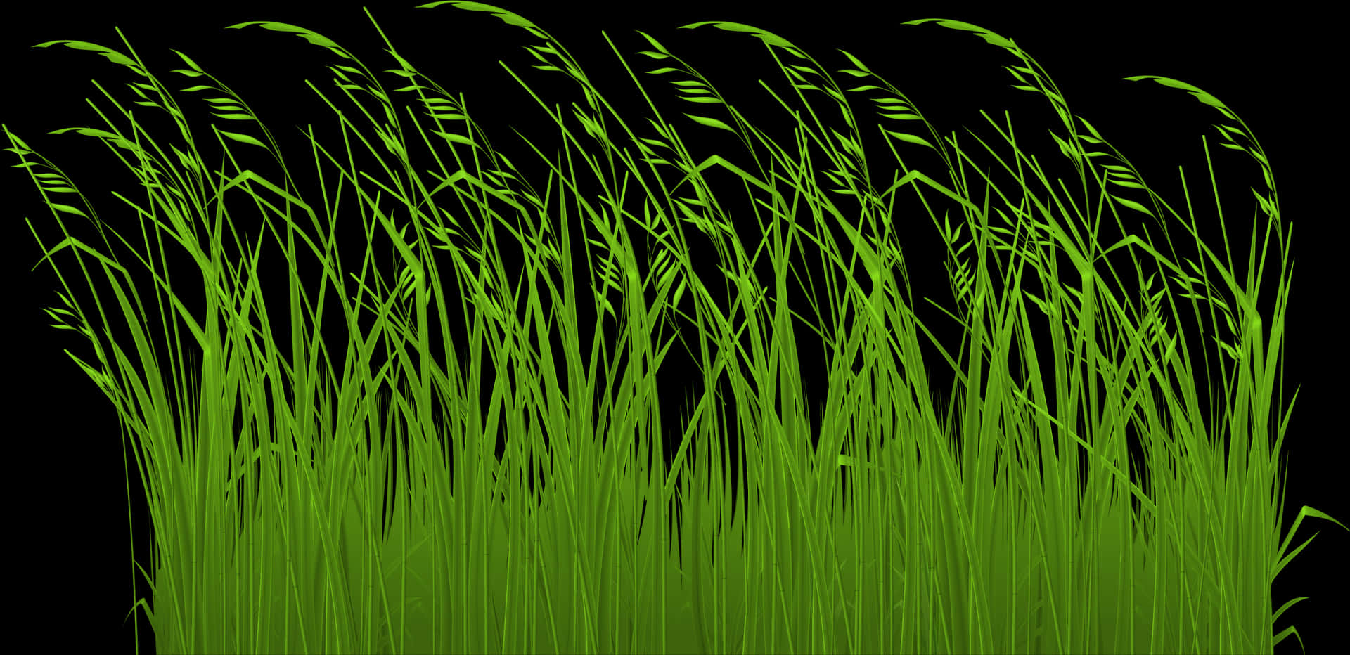Vibrant Green Grass Blades Black Background PNG
