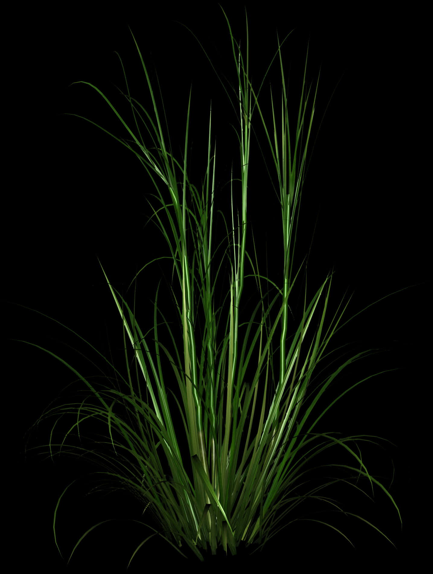 Vibrant Green Grass Clump PNG