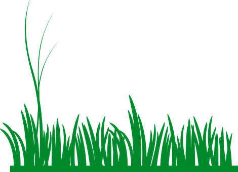 Vibrant Green Grass Silhouette PNG