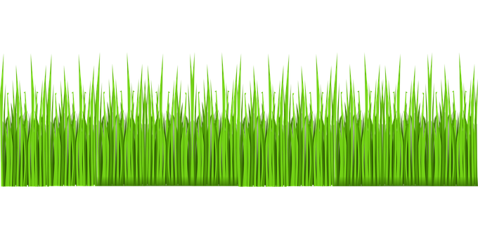 Vibrant Green Grass Texture PNG