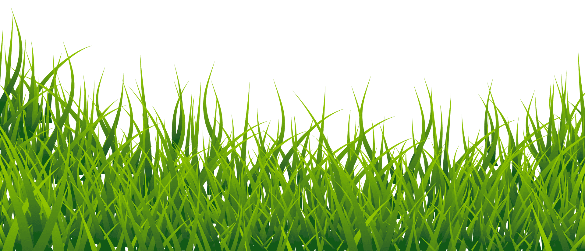 Vibrant Green Grass Texture PNG