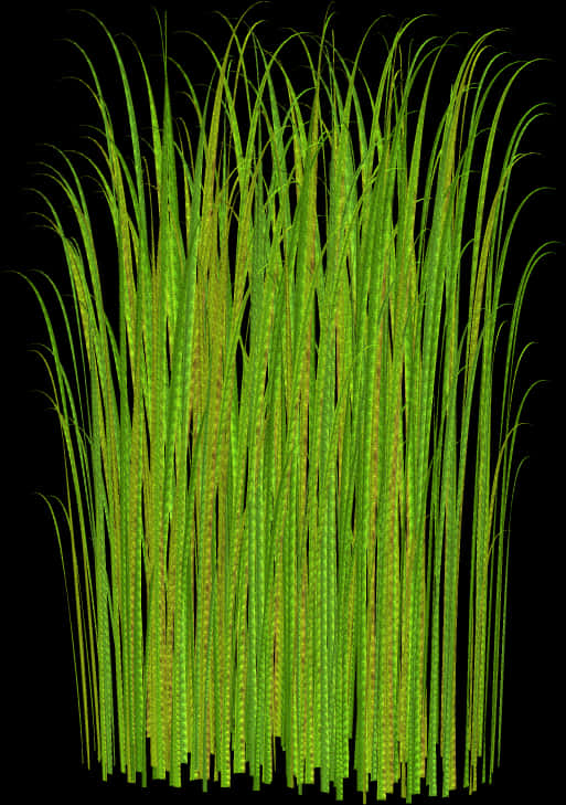Vibrant Green Grass Texture PNG