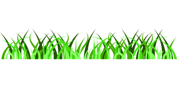 Vibrant Green Grass Vector PNG