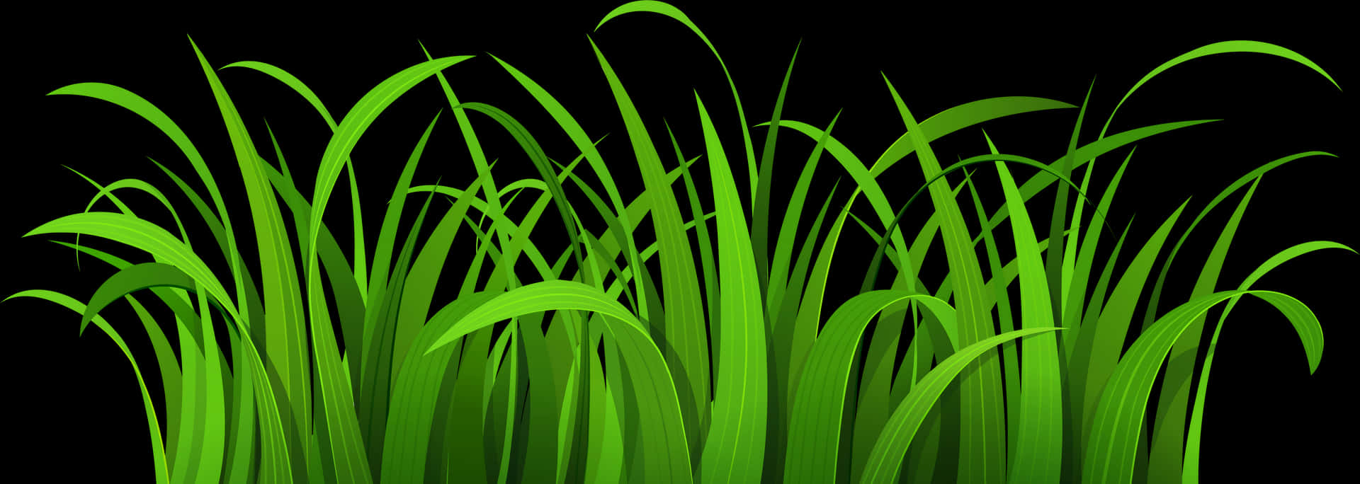 Vibrant Green Grass Vector PNG