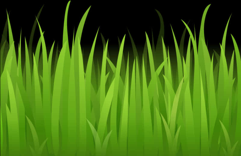 Vibrant Green Grass Vector PNG