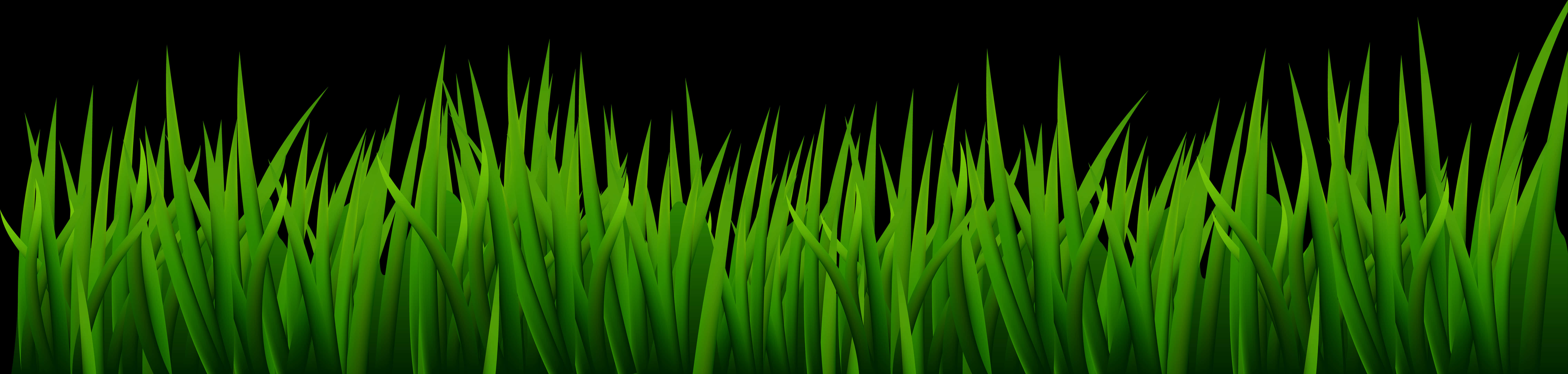 Vibrant Green Grasson Black Background PNG