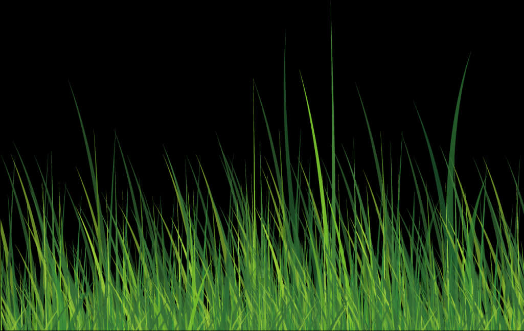 Vibrant Green Grasson Black Background.jpg PNG