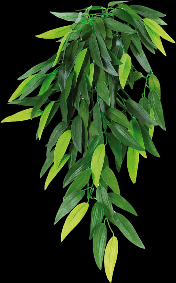 Vibrant Green Hanging Plant PNG