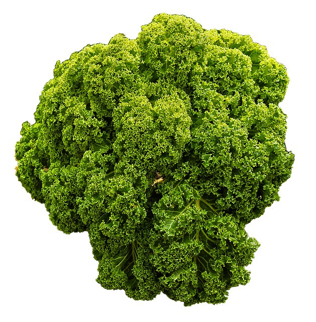 Vibrant Green Kale Isolated PNG