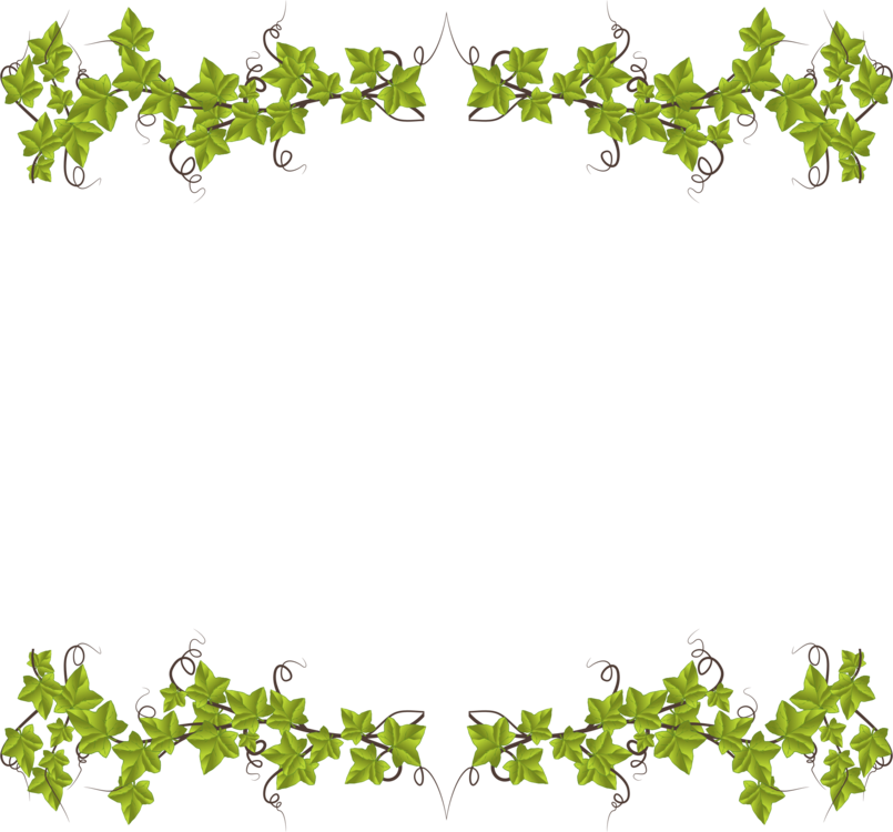 Vibrant Green Leaf Frame PNG