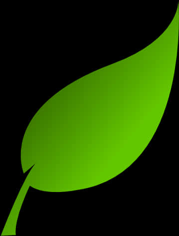 Vibrant Green Leaf Graphic PNG