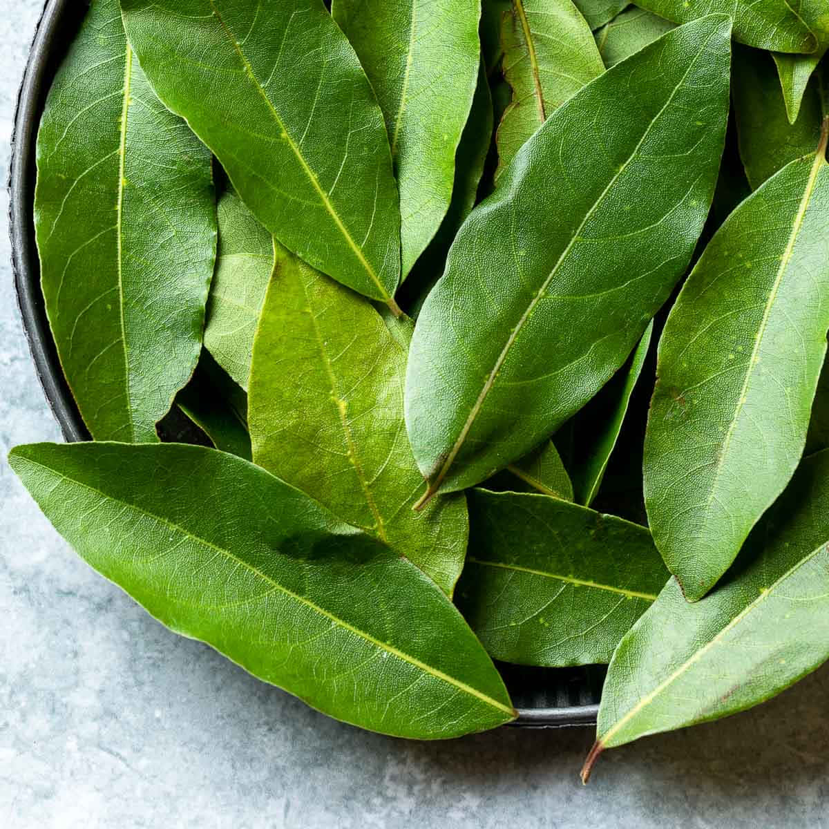 Levendig Groen Blad In Natuurlijk Licht Achtergrond