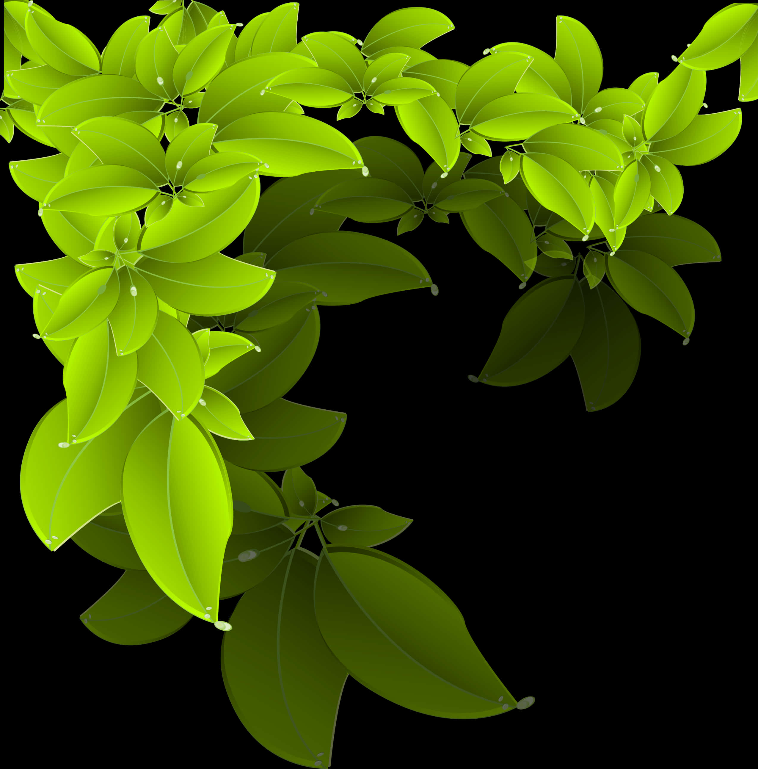 Vibrant Green Leaves Black Background PNG