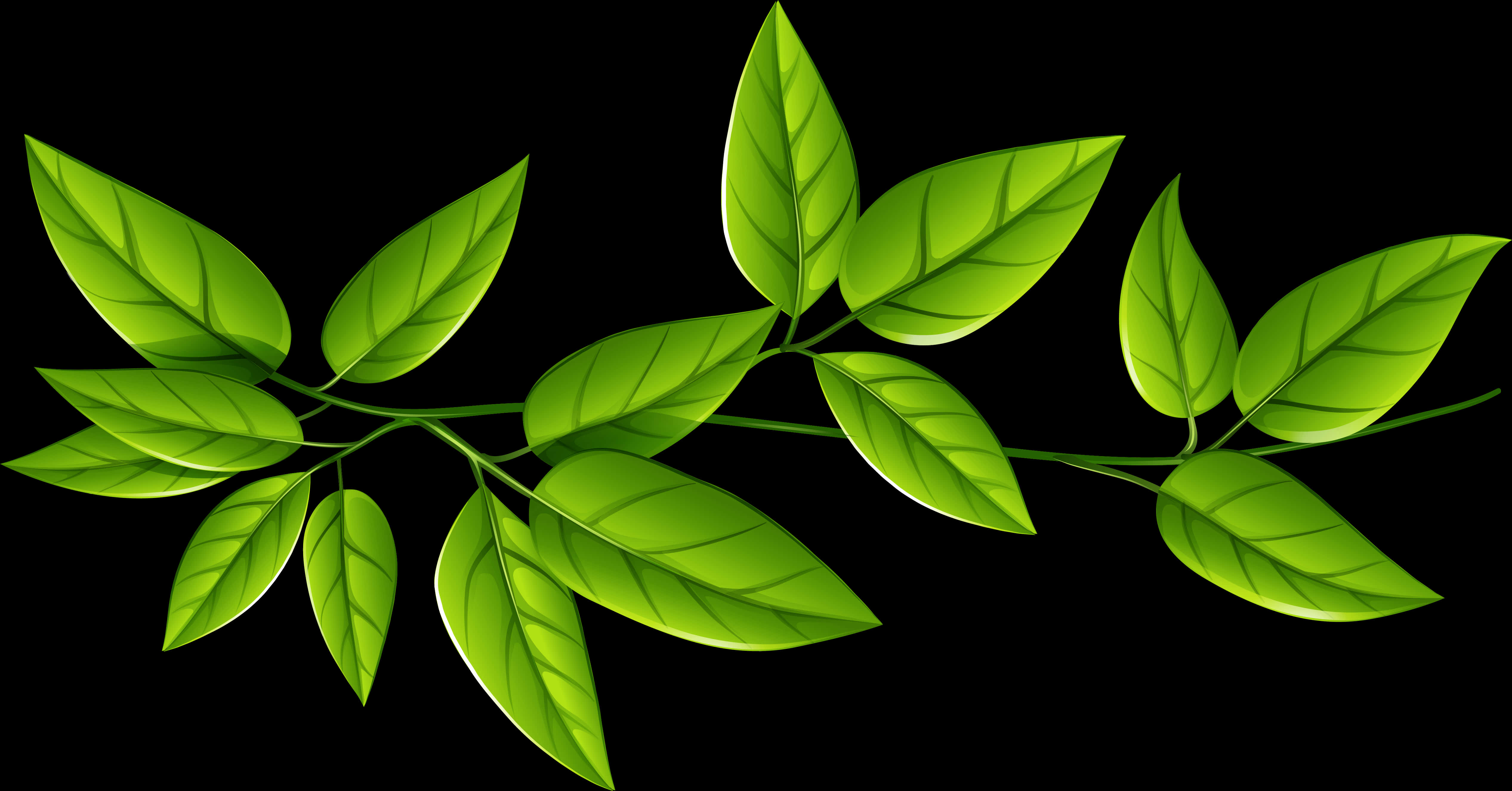 Vibrant Green Leaves Clipart PNG