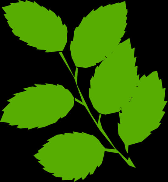 Vibrant Green Leaves Graphic PNG