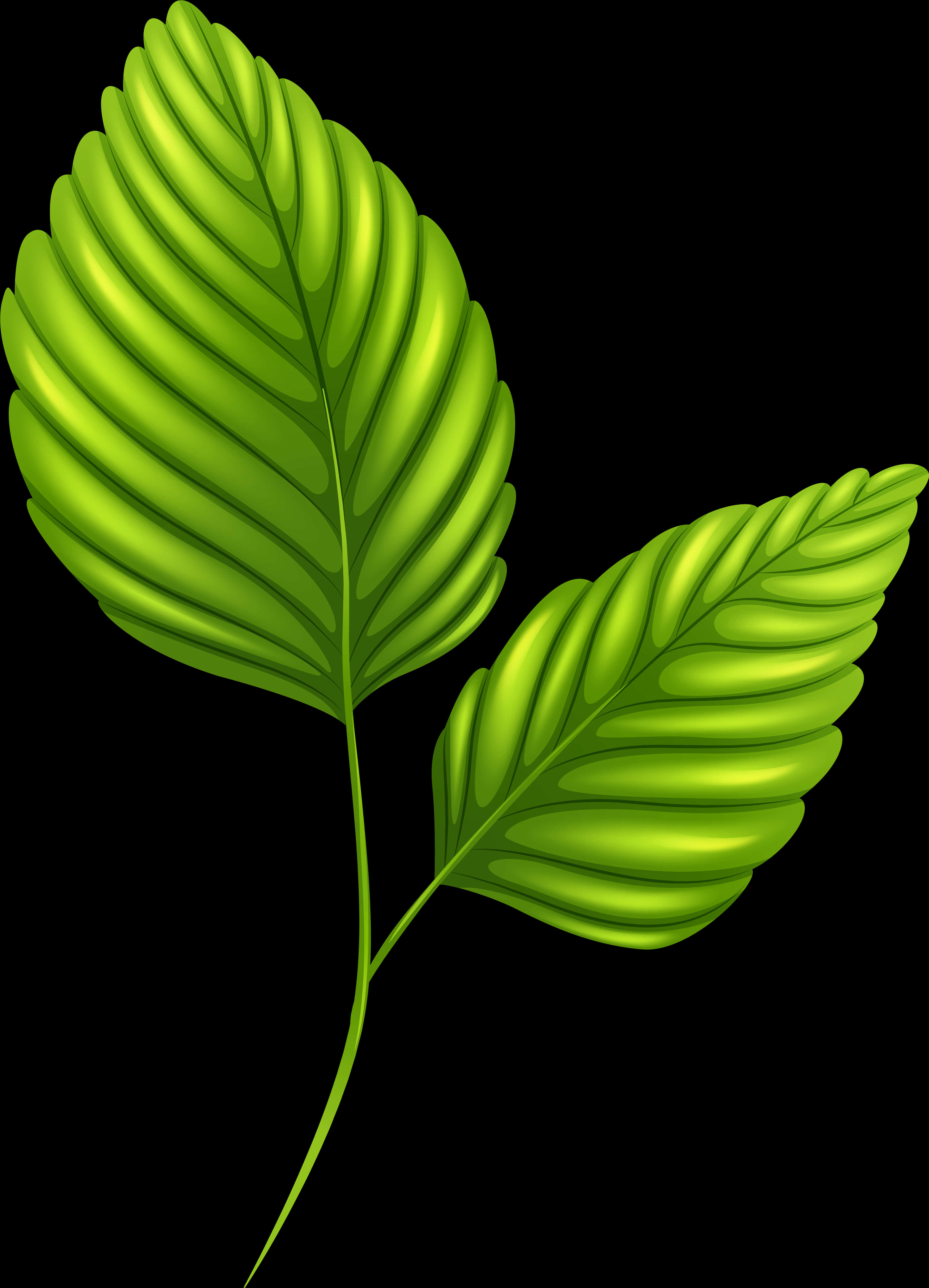Vibrant Green Leaves Illustration PNG