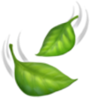 Vibrant Green Leaves Illustration PNG