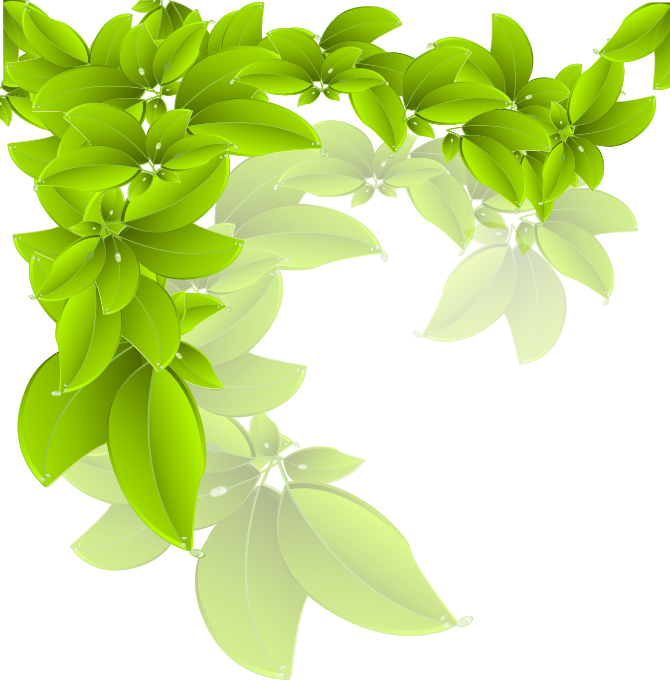 Vibrant Green Leaves Vector PNG