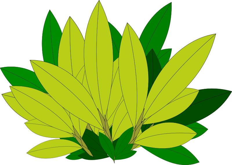 Vibrant Green Leaves Vector Illustration PNG