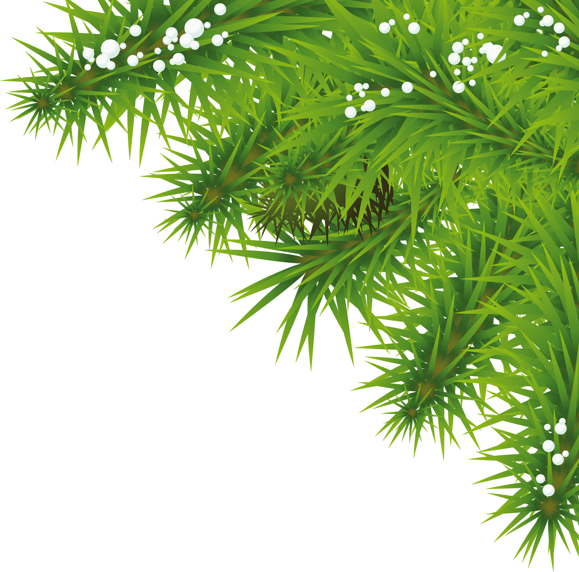 Vibrant Green Nature Background PNG