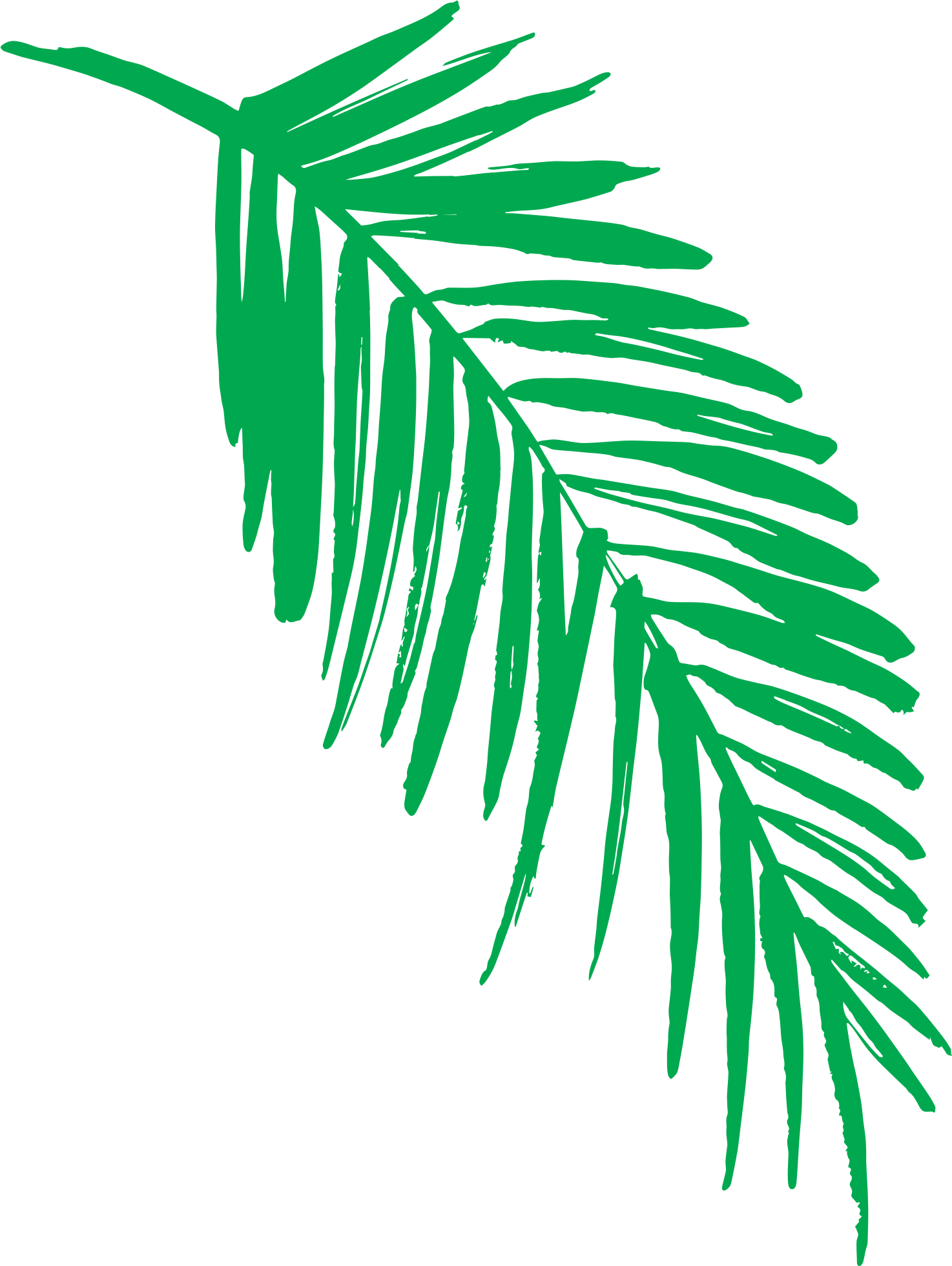 Vibrant Green Palm Leaf Graphic PNG
