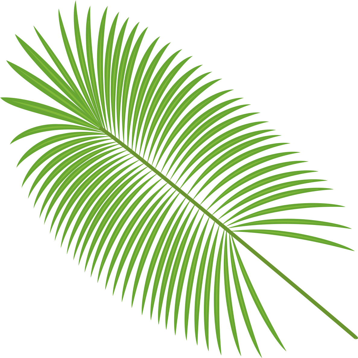 Vibrant Green Palm Leafon Blue Background PNG