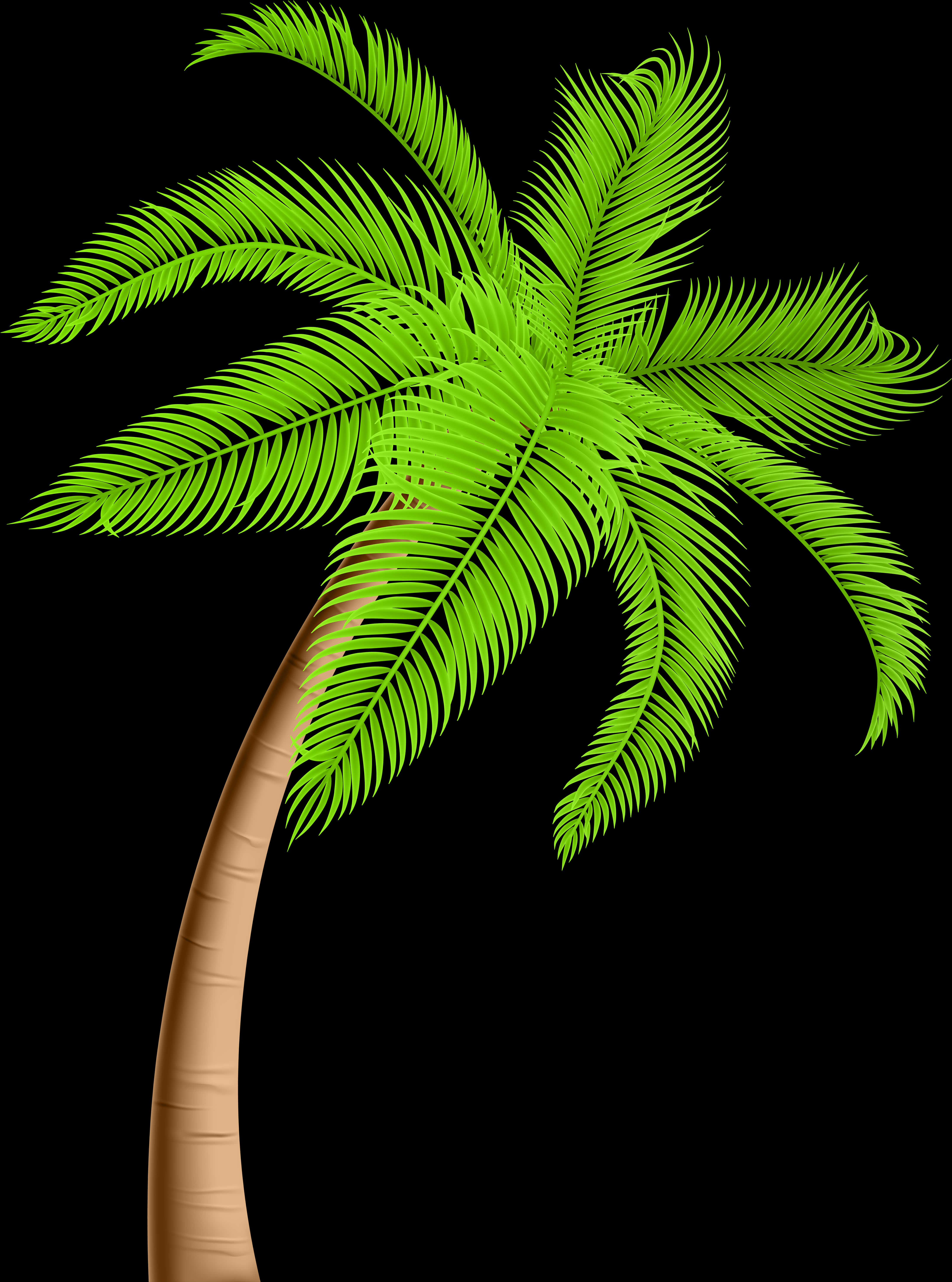 Vibrant Green Palm Tree Graphic PNG