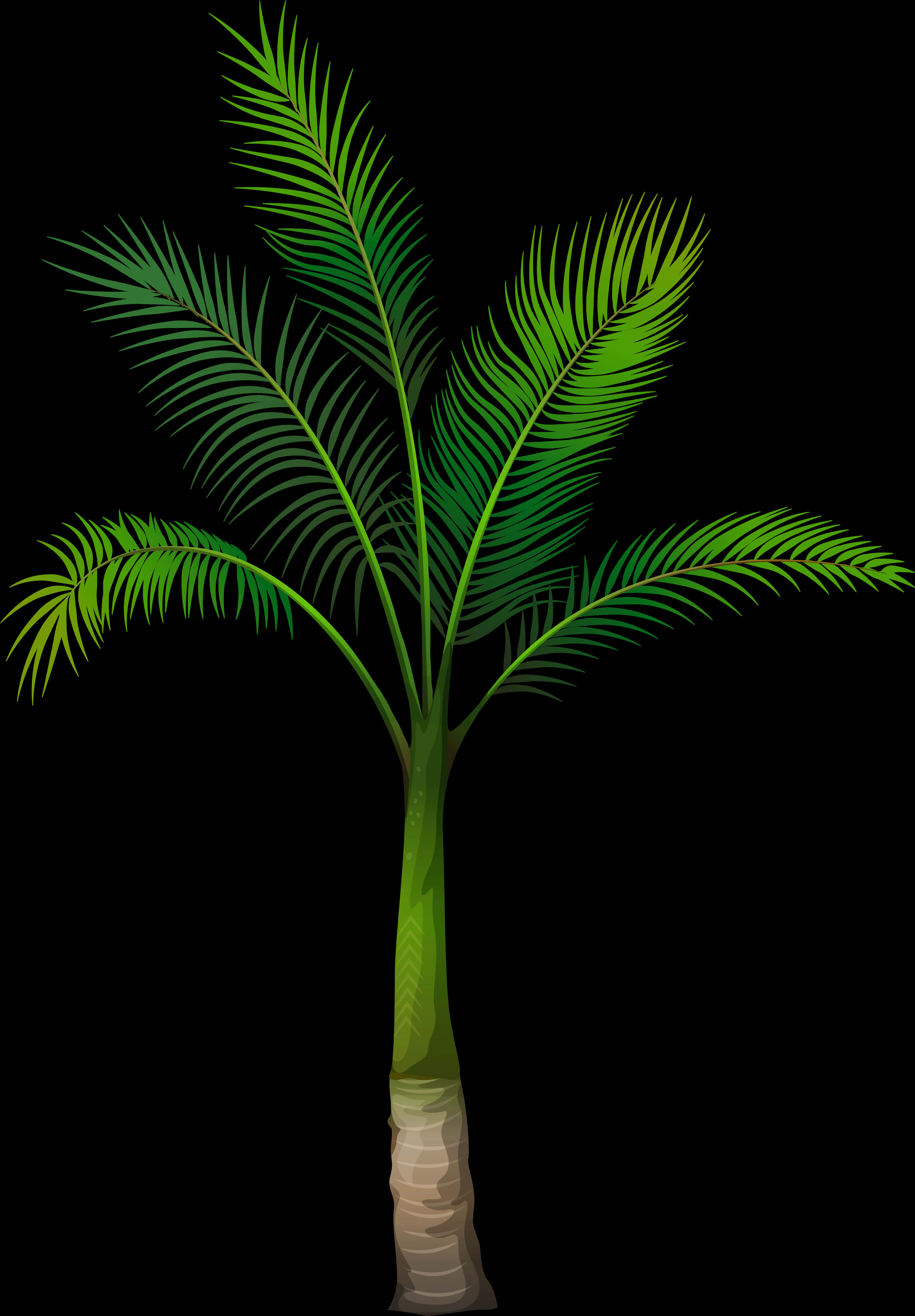 Vibrant Green Palm Tree Illustration PNG